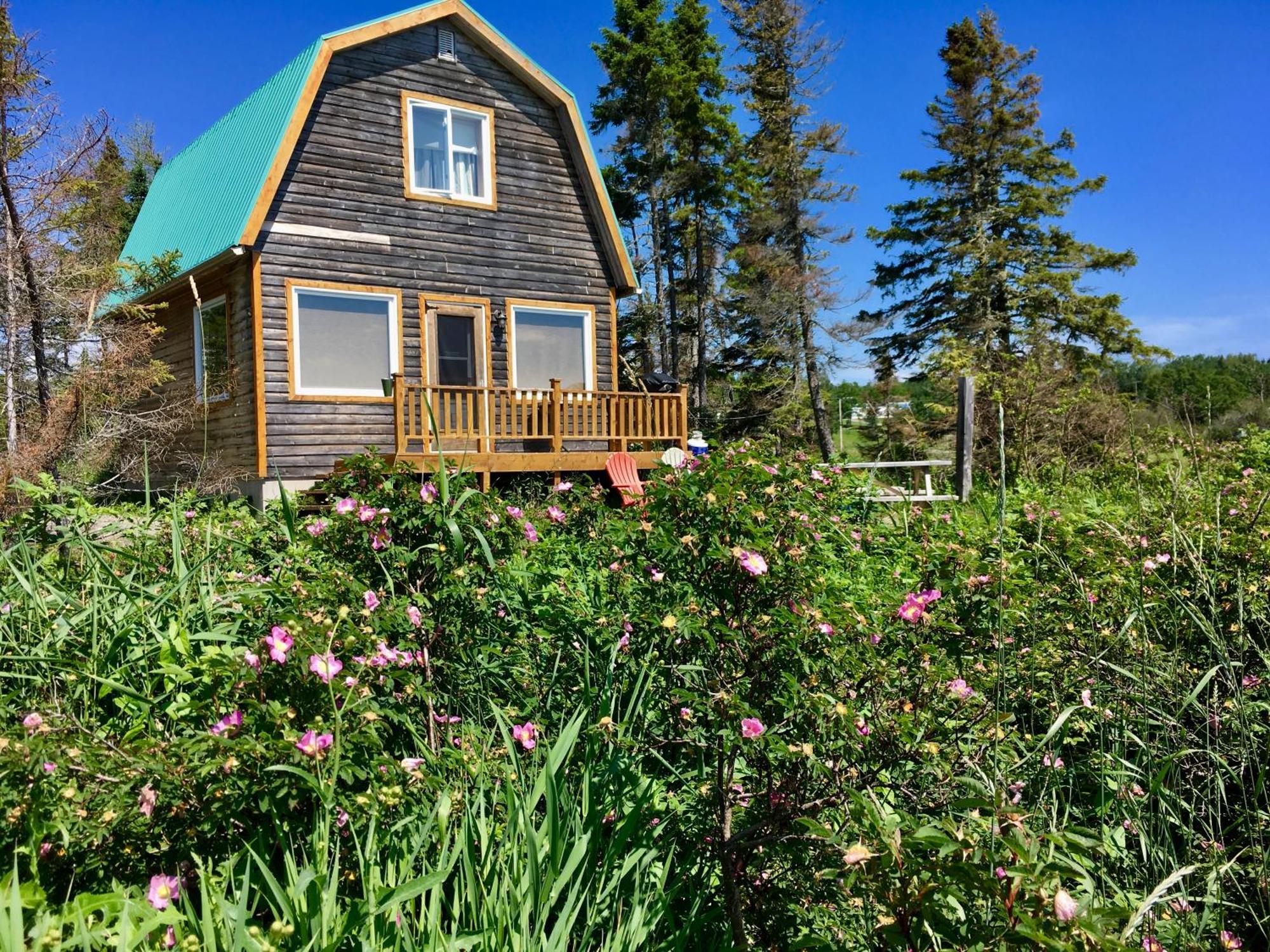 Chalets Du Bout Du Monde Gaspe Bagian luar foto