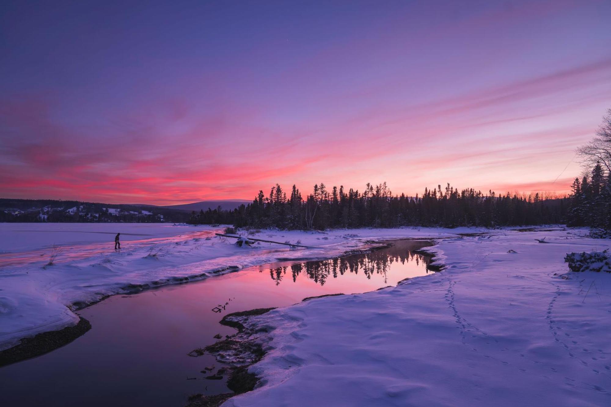 Chalets Du Bout Du Monde Gaspe Bagian luar foto