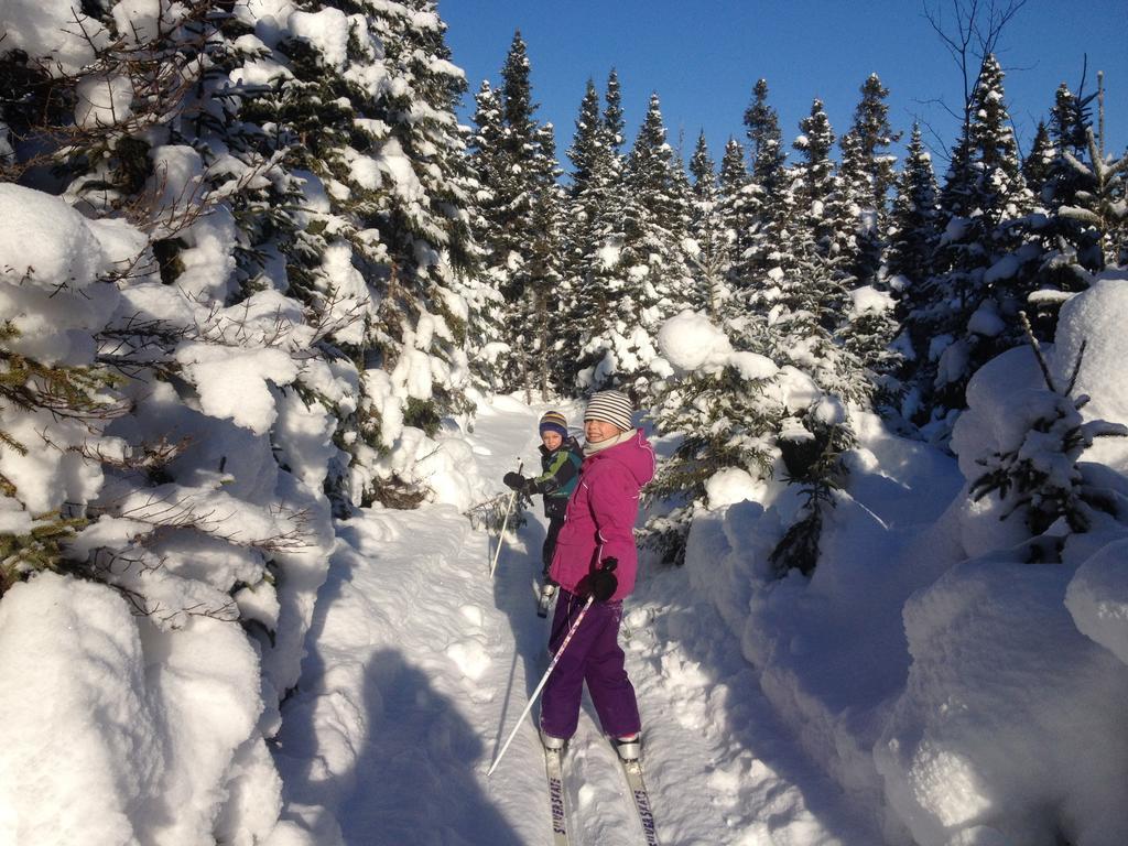 Chalets Du Bout Du Monde Gaspe Bagian luar foto